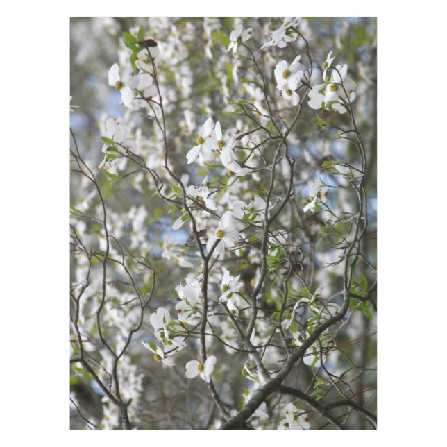 Dogwood Tree White Flower Blossoms Tablecloth (Front)