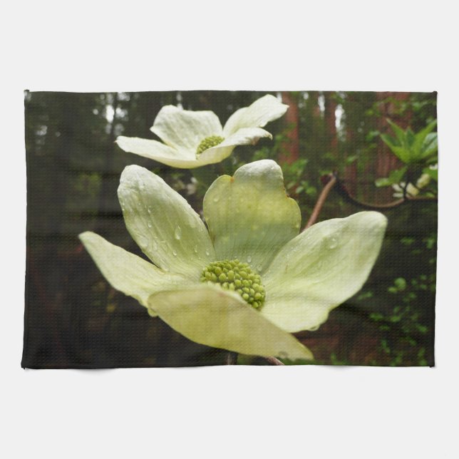 Dogwoods and Redwoods in Yosemite National Park Kitchen Towel (Horizontal)