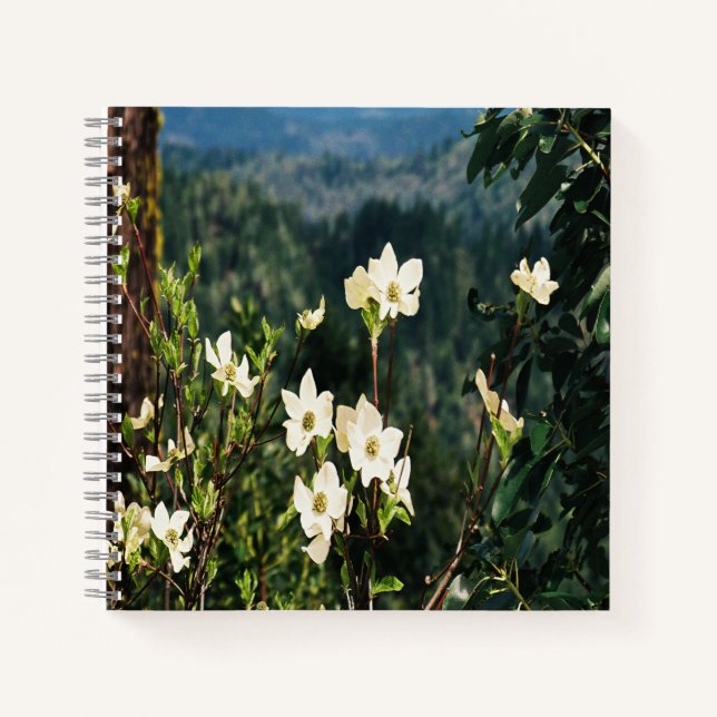 Dogwood's Blooming..... Notebook (Front)