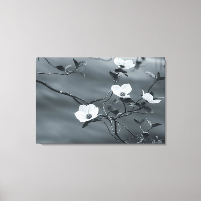 Dogwoods Canvas Print (Front)