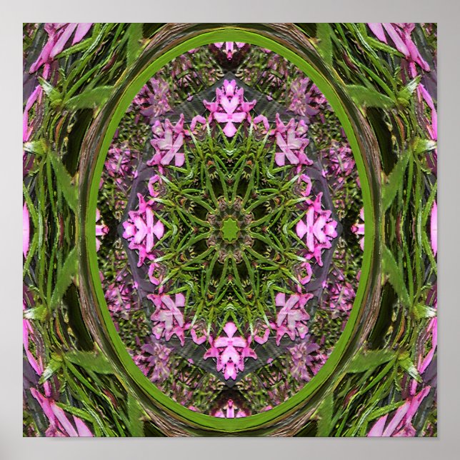 Doily of Spring.... Poster (Front)