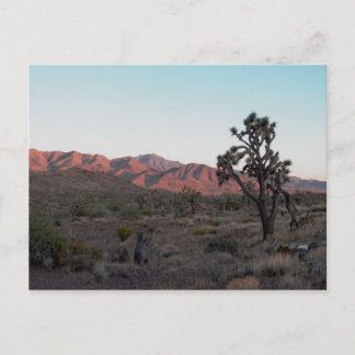 Dolan Springs Postcard