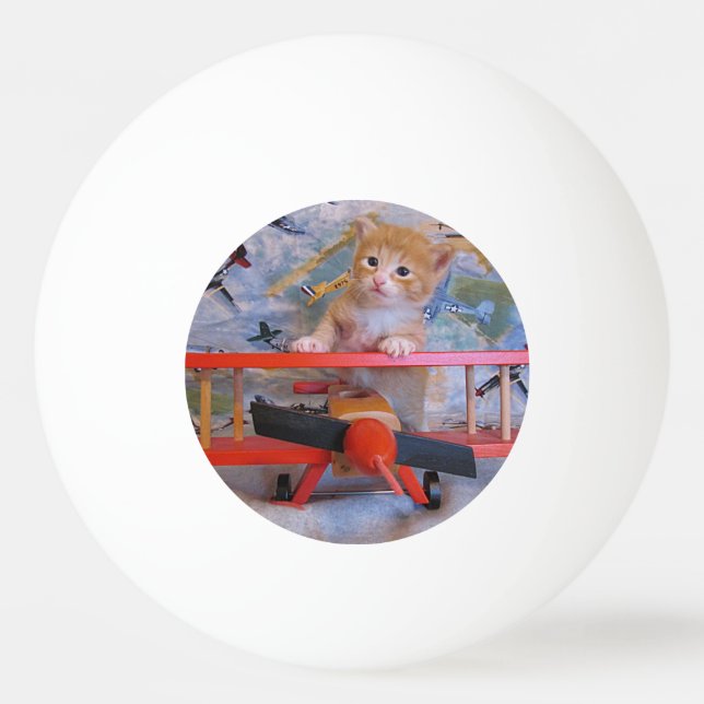 Dolce Airplane Pilot - Kitten / Cat Ping Pong Ball (Back)
