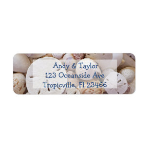 Dollar de sable et coquillages Retourner l'adresse