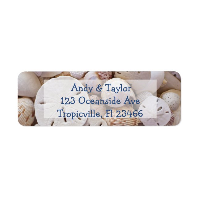 Dollar de sable et coquillages Retourner l'adresse (Devant)