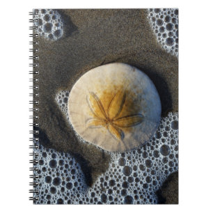 Dollar de sable et Surf de plage Photo Carnet spir