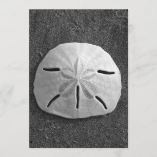 Dollar de sable Shell Beach Invitation (B&W Photo)