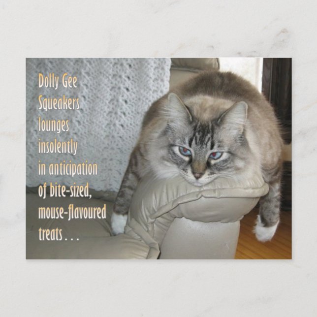 Dolly Gee Squeakers (TM) Postcard 1 (Front)