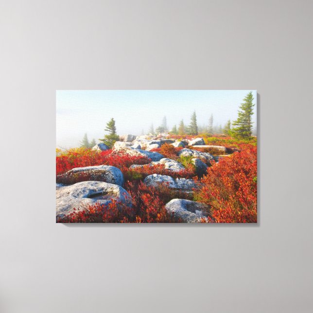 Dolly Sods Wilderness Fall Scenic With Fog Canvas Print (Front)