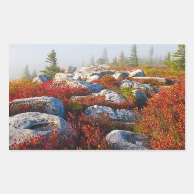 Dolly Sods Wilderness Fall Scenic With Fog Sticker (Front)