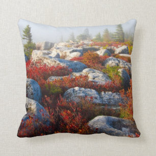 Dolly Sods Wilderness Fall Scenic With Fog Throw Pillow