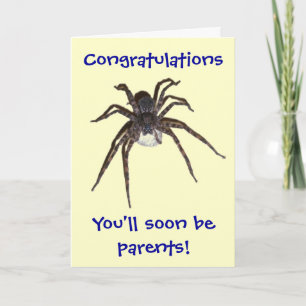 Dolomedes Congratulations Expectant Parents Card
