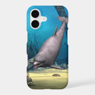Dolphin