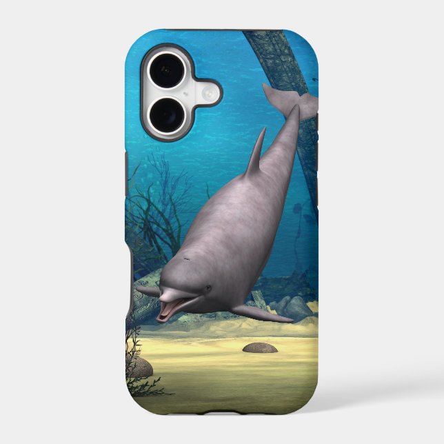 Dolphin (Back)
