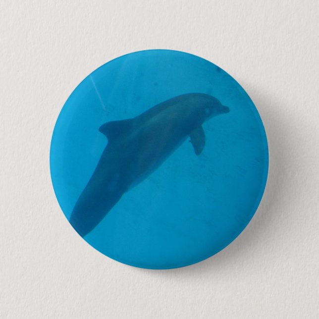 dolphin 2 inch round button (Front)