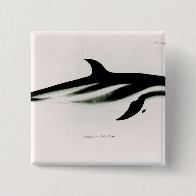 Dolphin 2 Inch Square Button (Front)