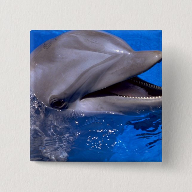 Dolphin 2 Inch Square Button (Front)