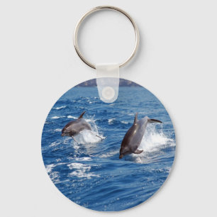 Dolphin Adventure Keychain