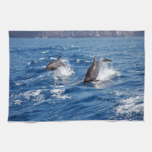 Dolphin Adventure Kitchen Towel