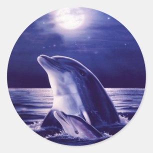 Dolphin and Baby Classic Round Sticker