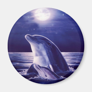Dolphin and Baby Magnet