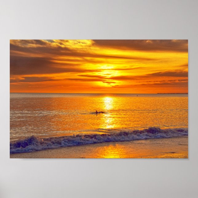 Dolphin at Sunset, Fort Myers Beach, Florida Poster (Front)