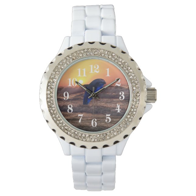 Dolphin at sunset watch (Front)