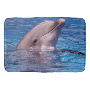 dolphin bath mat