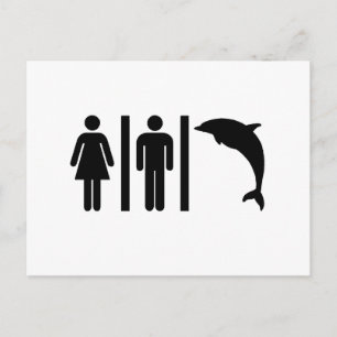 Dolphin Bathroom Postcard