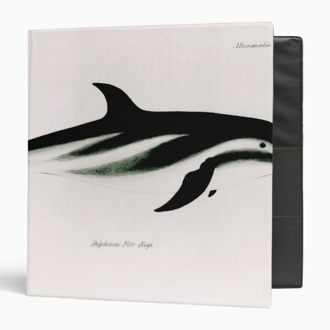 Dolphin Binder (Front/Inside)