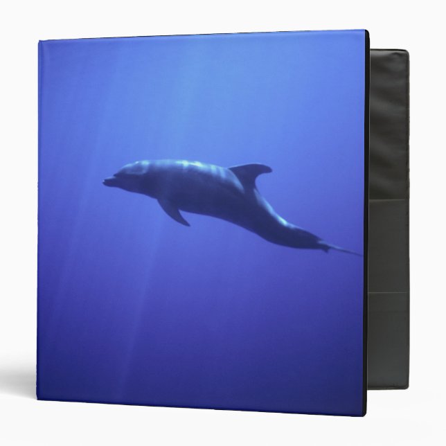 Dolphin Binder (Front/Inside)