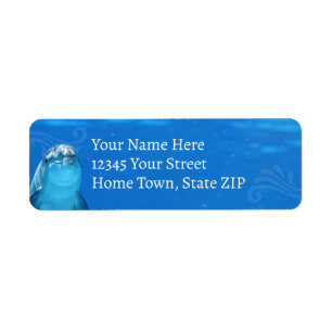 Dolphin Blue Ocean Adresse de retour