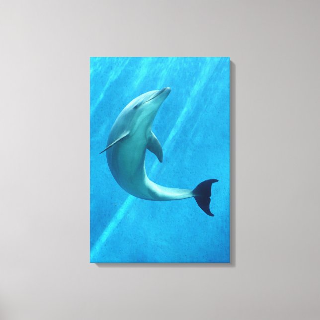 Dolphin Canvas Print (Front)