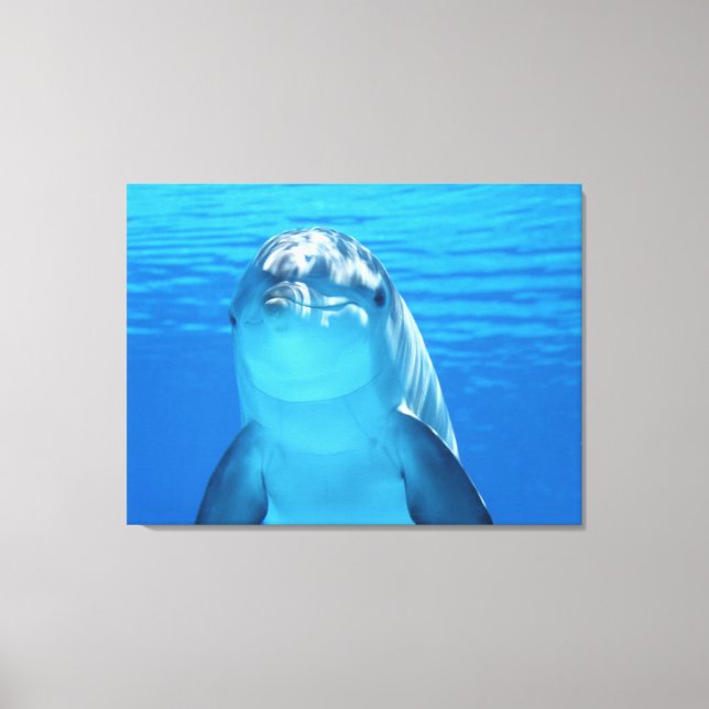 dolphin canvas print (Front)