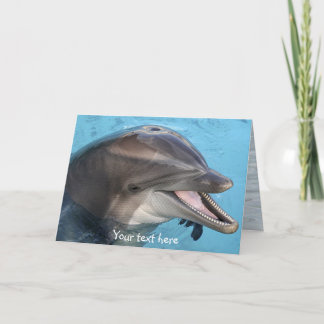 dolphin, card