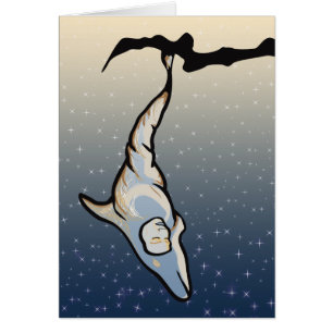 dolphin cocoon