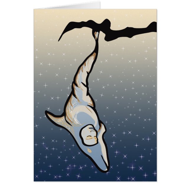 dolphin cocoon (Front)