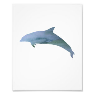 Dolphin Colourful Watercolor Photo Print