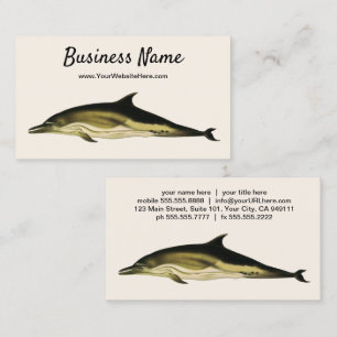 Dolphin Delphinus Delphis, Vintage Marine Animals Business Card