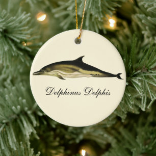 Dolphin Delphinus Delphis, Vintage Marine Animals Ceramic Ornament
