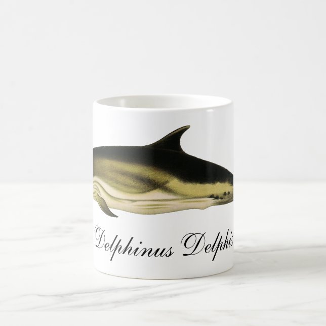 Dolphin Delphinus Delphis, Vintage Marine Animals Coffee Mug (Center)