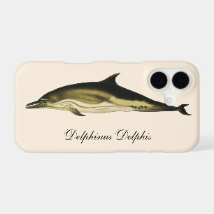 Dolphin Delphinus Delphis, Vintage Marine Mammals 