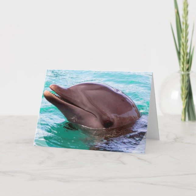 Dolphin Design Greeting Card (Front)