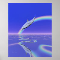 Dolphin Diving with Rainbow