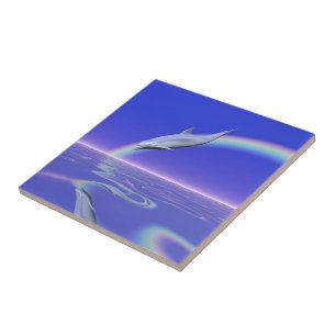Dolphin Diving with Rainbow Tile