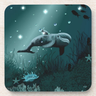 Dolphin Dream Coaster