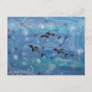 Dolphin Dreaming Postcard