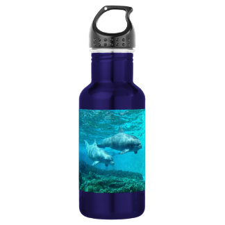 Dolphin Duo 532 Ml Water Bottle