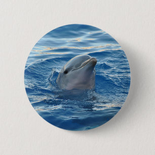 Dolphin Face in Ocean Cute Photo 2 Inch Round Button