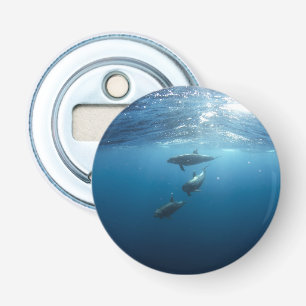 Dolphin Family Underwater Bottle Opener